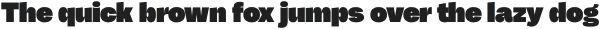 CTM Sans Black otf (900)