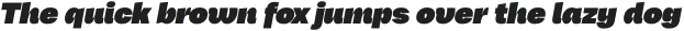 CTM Sans Italic Black Italic otf (900)