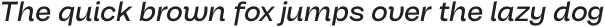 CTM Sans Italic Regular Italic otf (400)