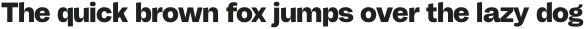 CTM Sans Bold otf (700)
