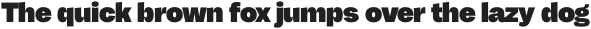 CTM Sans ExtraBold otf (700)