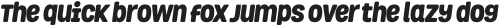 Grota Rounded Black Italic otf (900)