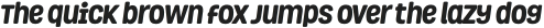 Grota Rounded ExtraBold Italic otf (700)