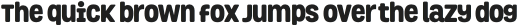 Grota Rounded otf (900)