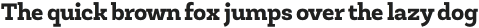 Newslab ExtraBold otf (700)