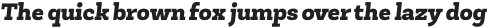 Newslab Black Italic otf (900)