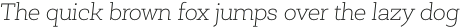 Newslab Thin Italic otf (100)