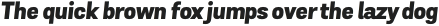 Grota Sans Alt Heavy Italic otf (800)
