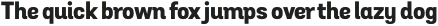 Grota Sans Alt ExtraBold otf (700)