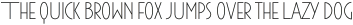 Maxi-Plus Light otf (300)