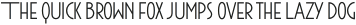 Maxi-Plus otf (400)