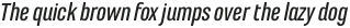 Marianina FY Medium Italic otf (500)