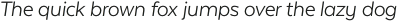 Texta Light Italic otf (300)