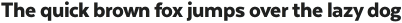 Texta Heavy Italic otf (800)