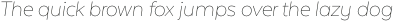 Texta Medium Italic otf (500)