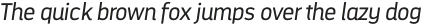 DarwinAlt Light Italic otf (300)