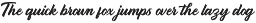 Rigotamy - Script Font preview