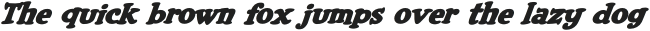 CCCheeseAndCrackers Heavy Italic otf (800)