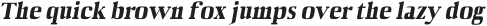 Barnes Black Italic otf (900)