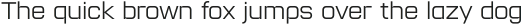 Lustra Text Light otf (300)