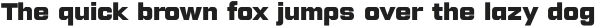 Lustra Text Black otf (900)