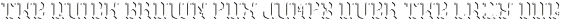 Brighton ShadowFX otf (400)