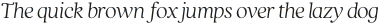 Quincy CF Thin Italic otf (100)