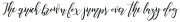 Amapola Script otf (400)