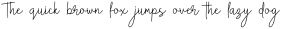 Anthem Minimalism script otf (400)