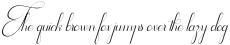 Noble Flourish Script otf (400)