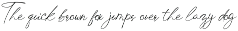 Chick Budapest Signature Font font preview