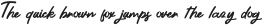 Miguel Ramond Script otf (400)