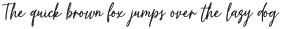 Misert Orida Script otf (400)