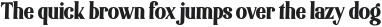 Elsain Bold otf (700)