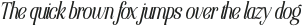 Elsain Light Italic otf (300)