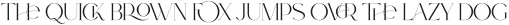 Type Maestro Regular otf (400)
