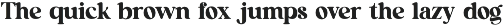 Maggie Chevylia Classic Serif Font preview