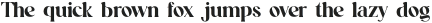 Funtonalie Script Typeface otf (400)