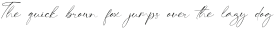 BeastieSignature Script otf (400)