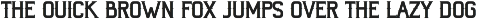 Victorian Vintage Serif Font preview
