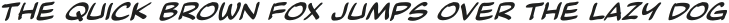 CCWascallyWabbit Italic otf (400)
