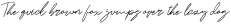 Brailes Signature otf (400)