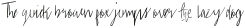 Sabreena Signature Script otf (400)