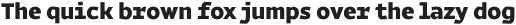 Magnetic Pro Black otf (900)