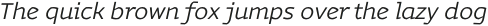 Magnetic Pro Light italic otf (300)