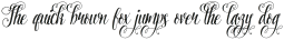 Pretty Script Alt 7 ttf (400)