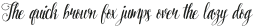 Pretty Script Pro otf (400)