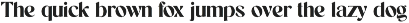 Wilhelmina Vintage Serif Font font preview