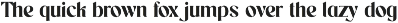 Holispay Vintage Serif Font preview