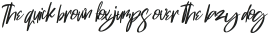 Swite Brush Italic otf (400)